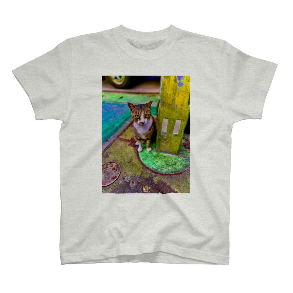 にゃっく -NecoKnickKnack-の空降街猫Tシャツ(背面円形) Regular Fit T-Shirt