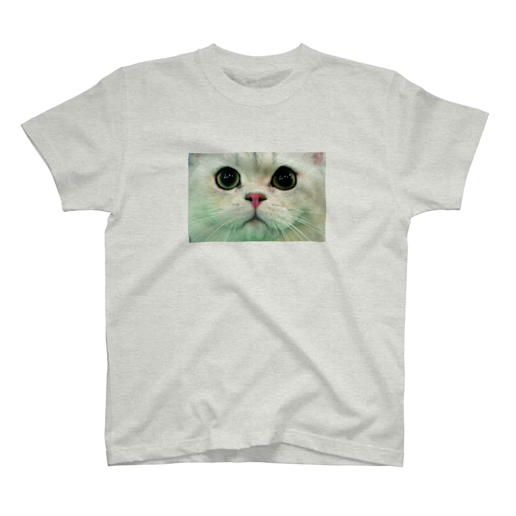 ねこがすき。のWHITE CAT Regular Fit T-Shirt