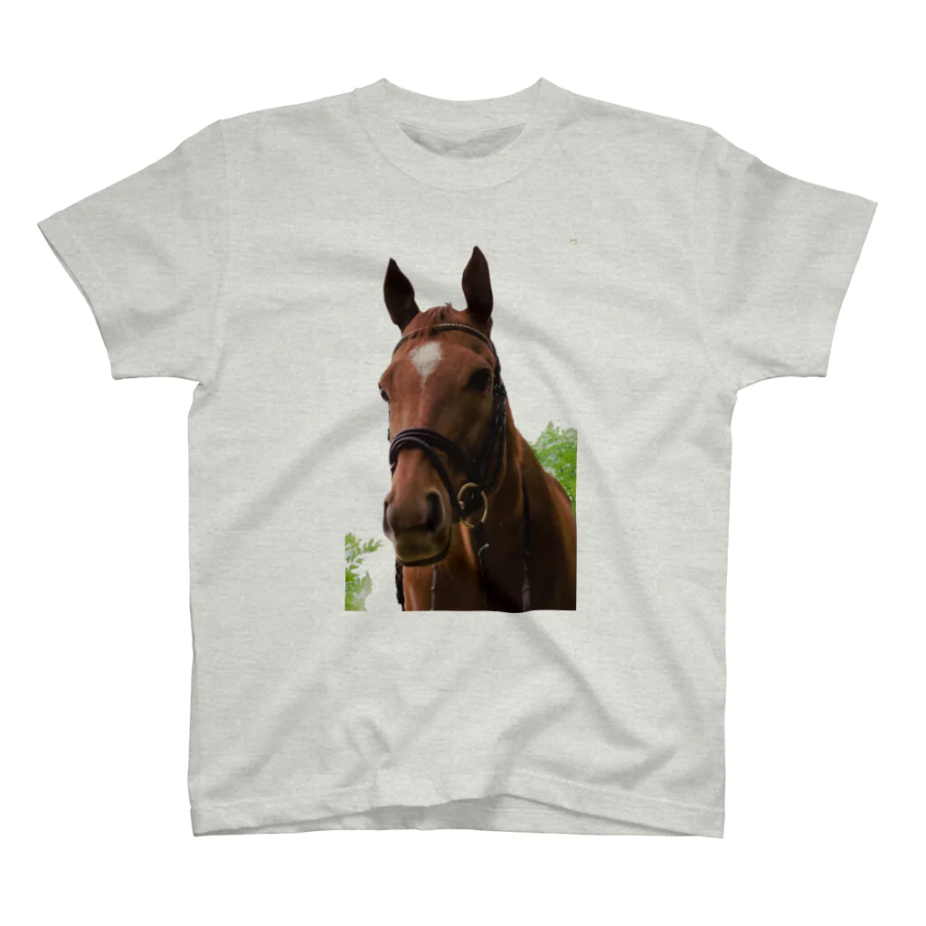 Teatime ティータイムの牧場 乗馬 馬術の馬 Regular Fit T-Shirt