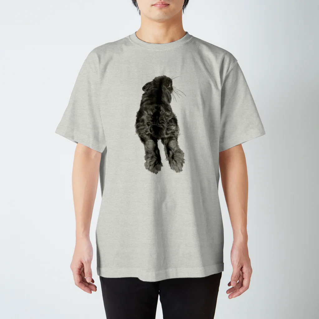 Gallery Neperoのふわけつ(くろすけ) Regular Fit T-Shirt