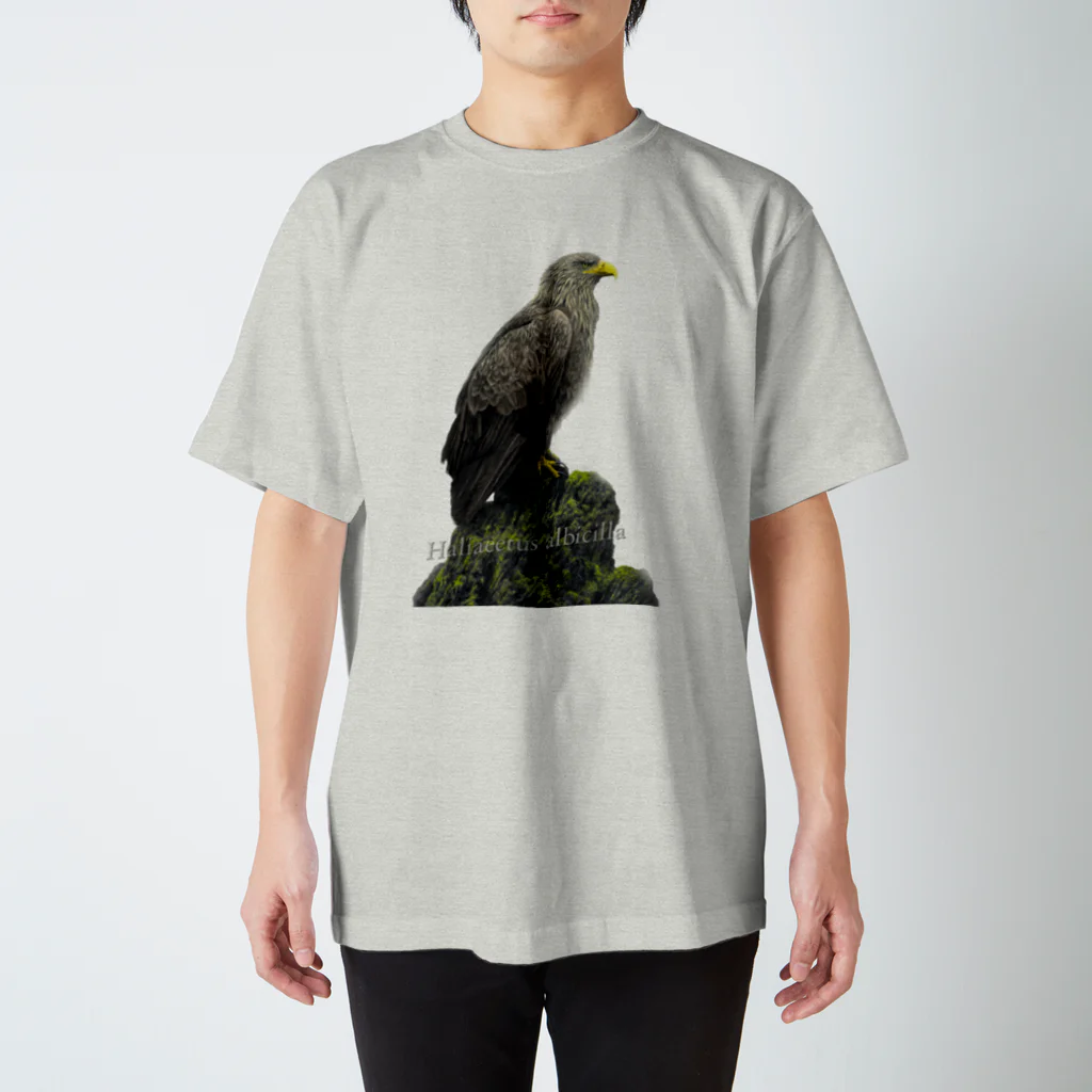 野鳥生活のオジロワシ（★寄付） Regular Fit T-Shirt