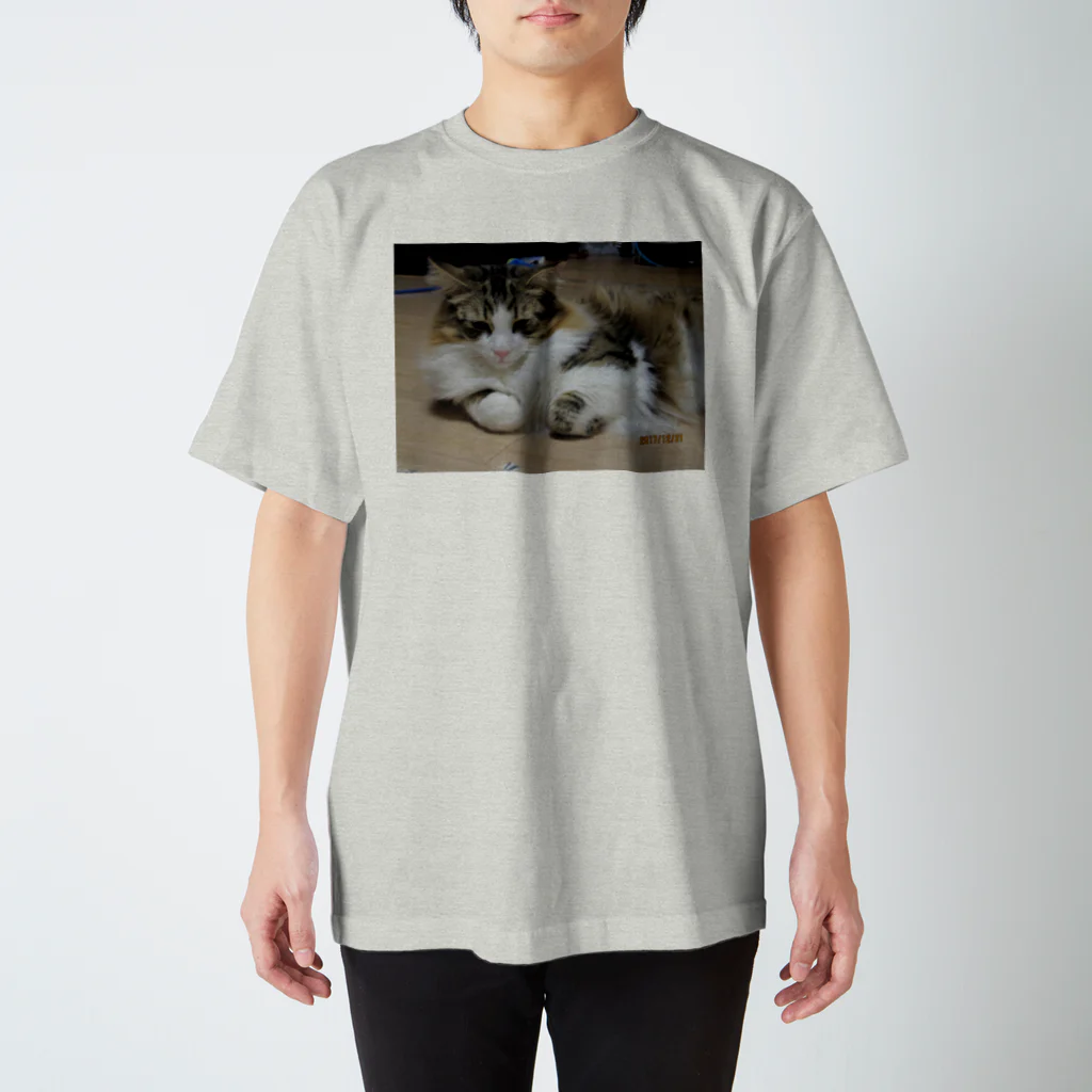 sumomo4のブニャっと　すももちゃん Regular Fit T-Shirt