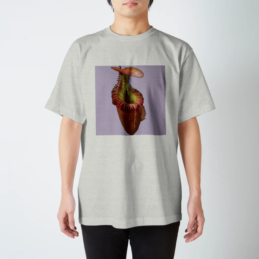 食虫植物ネペ吉のお店の食虫植物ウツボカズラ 【ネペンテス・ビローサ】 スタンダードTシャツ