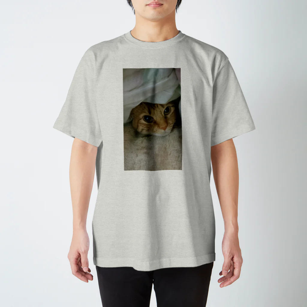 misaoのかくれ猫 Regular Fit T-Shirt