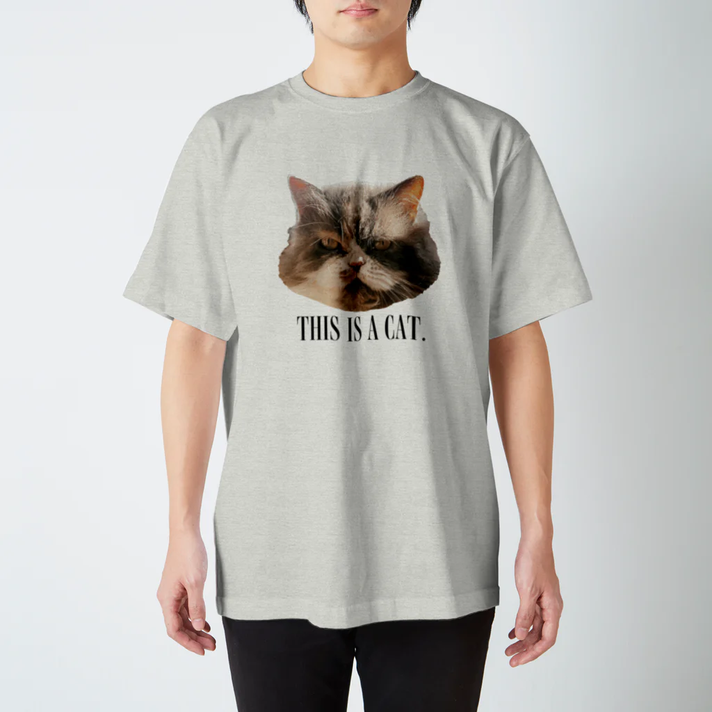 onigiri-dayoのTHIS IS A CAT. スタンダードTシャツ