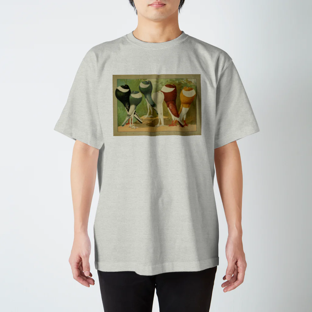 BiologyTのハトムネ競争 スタンダードTシャツ