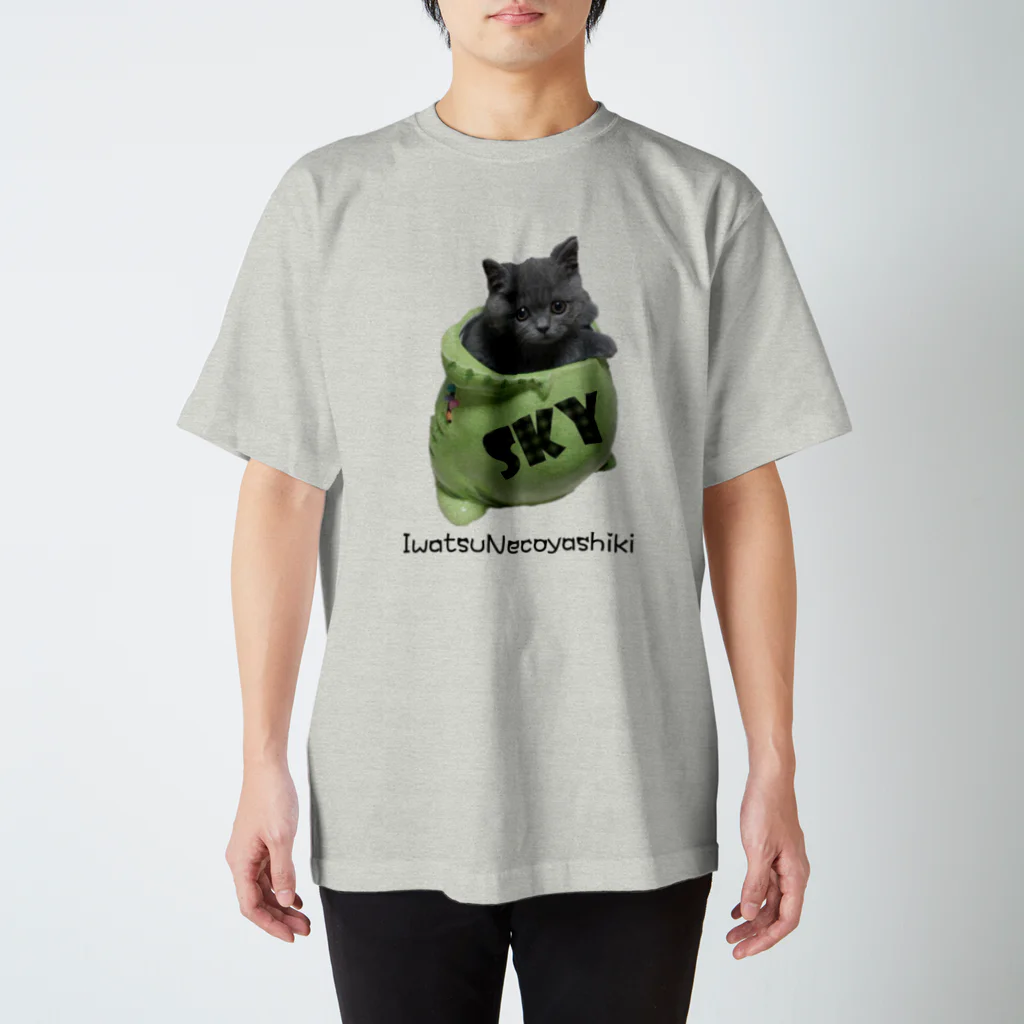 岩津猫屋敷のスカイモンスター Regular Fit T-Shirt