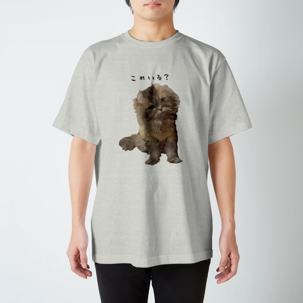 hoimisoの不服そうなペシャンコ猫のあおたろ（ひらがなver.） Regular Fit T-Shirt