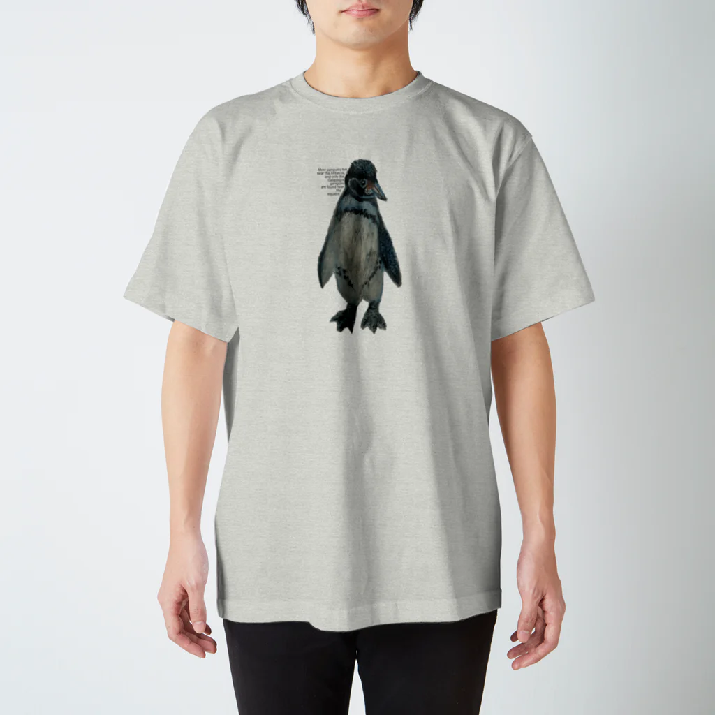 hami_closetのガラパゴスペンギン・クレパス画 Regular Fit T-Shirt