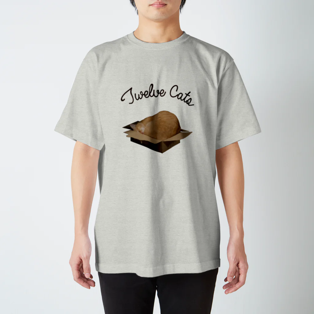 Twelve Catsの住めば都 スタンダードTシャツ