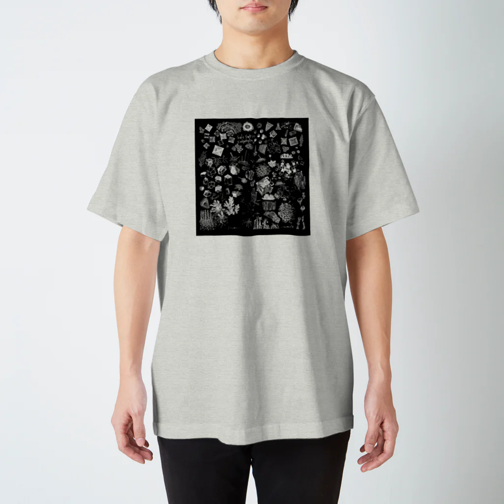 ラシマ工房のSalt form collection スタンダードTシャツ