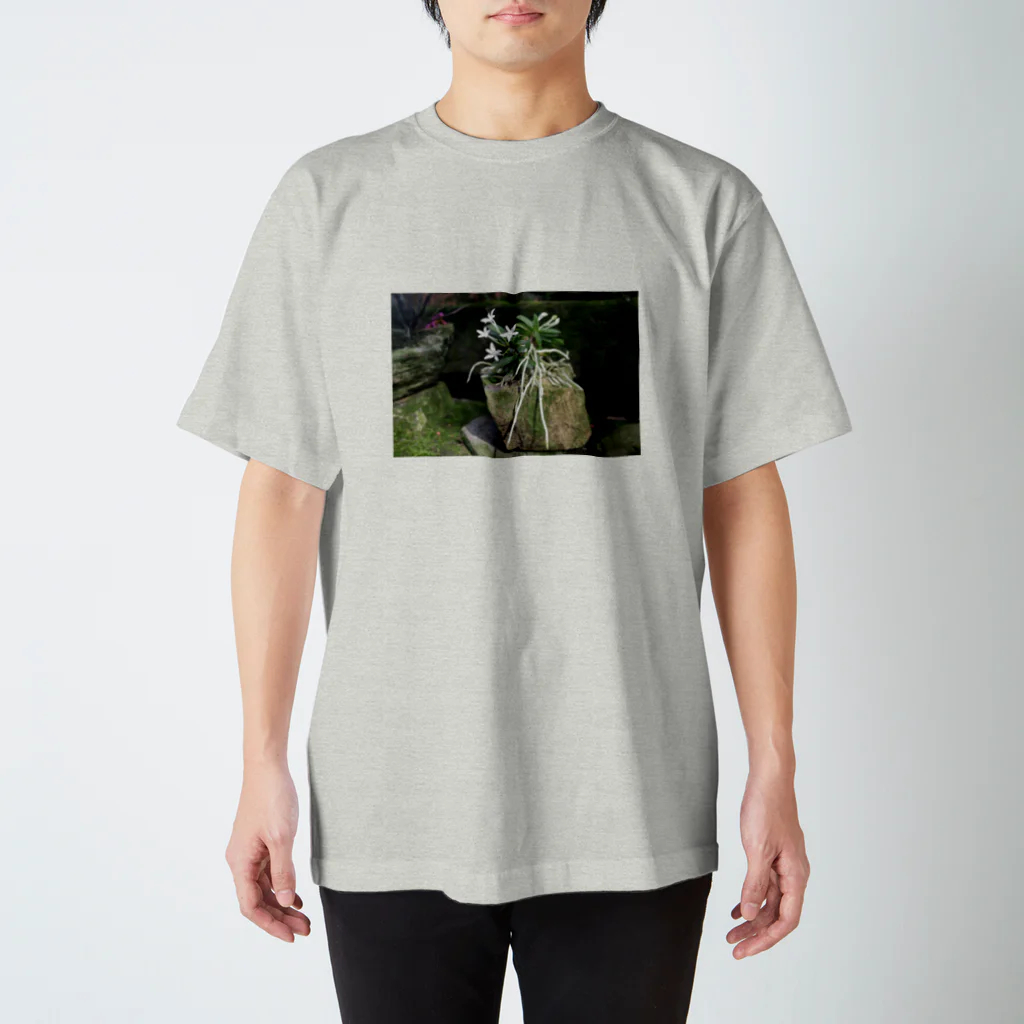 soramamekoの石の花   NO.1 Regular Fit T-Shirt