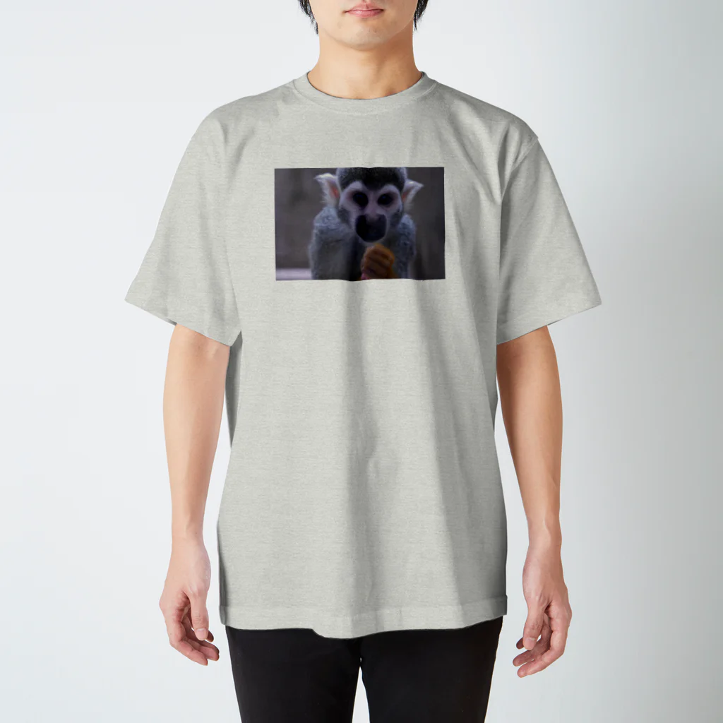 misiro_maichanのリスザルくん Regular Fit T-Shirt