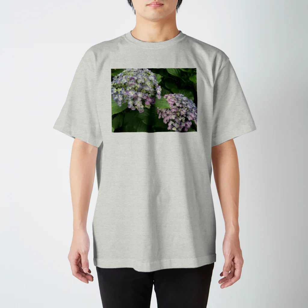 chachakoo5の梅雨の花 スタンダードTシャツ