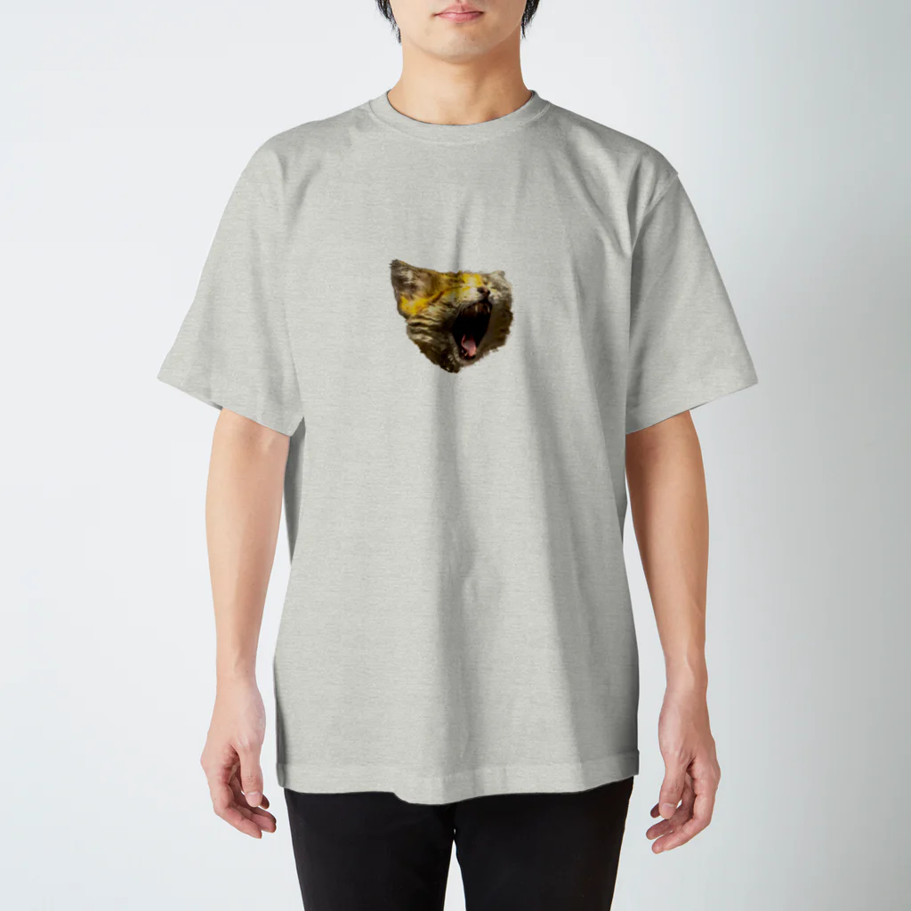 百瀬の眠たいスナネコ Regular Fit T-Shirt