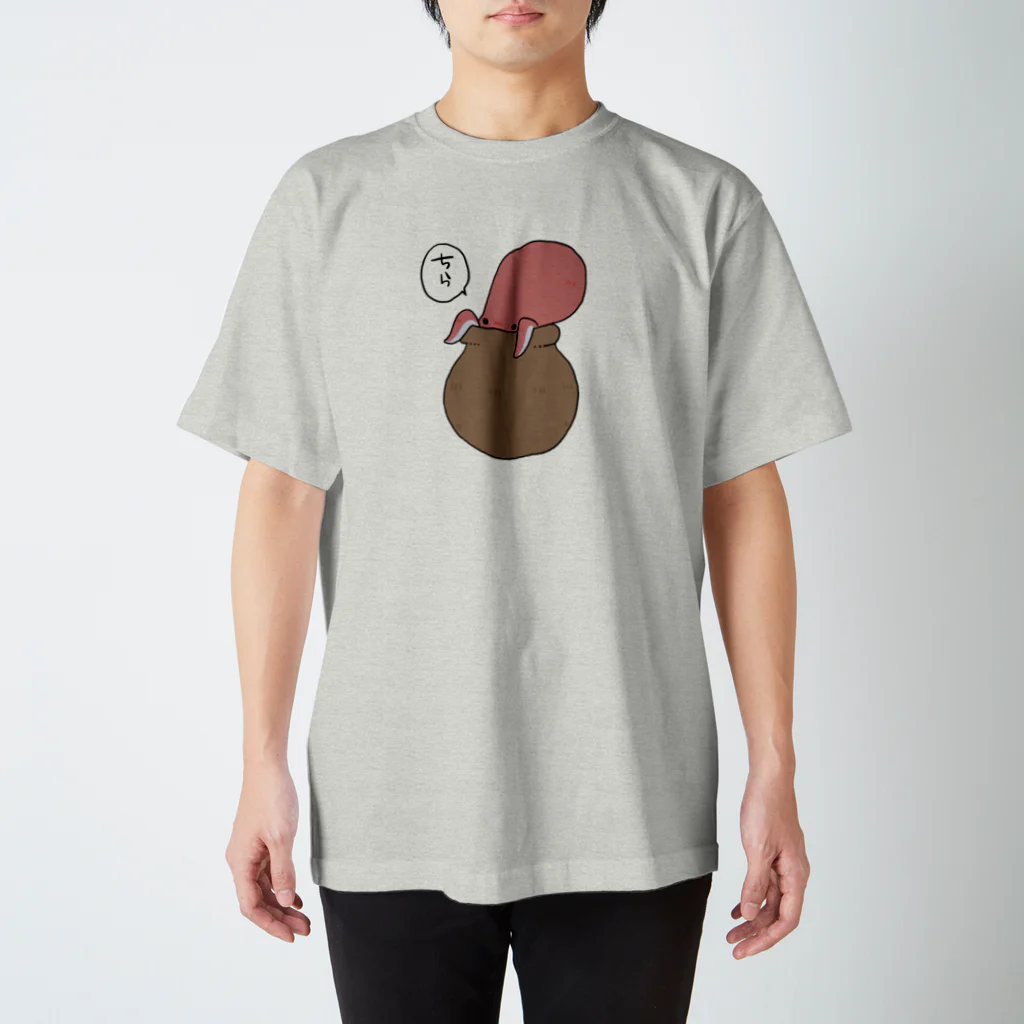 ゆるいまるのちらたこ Regular Fit T-Shirt