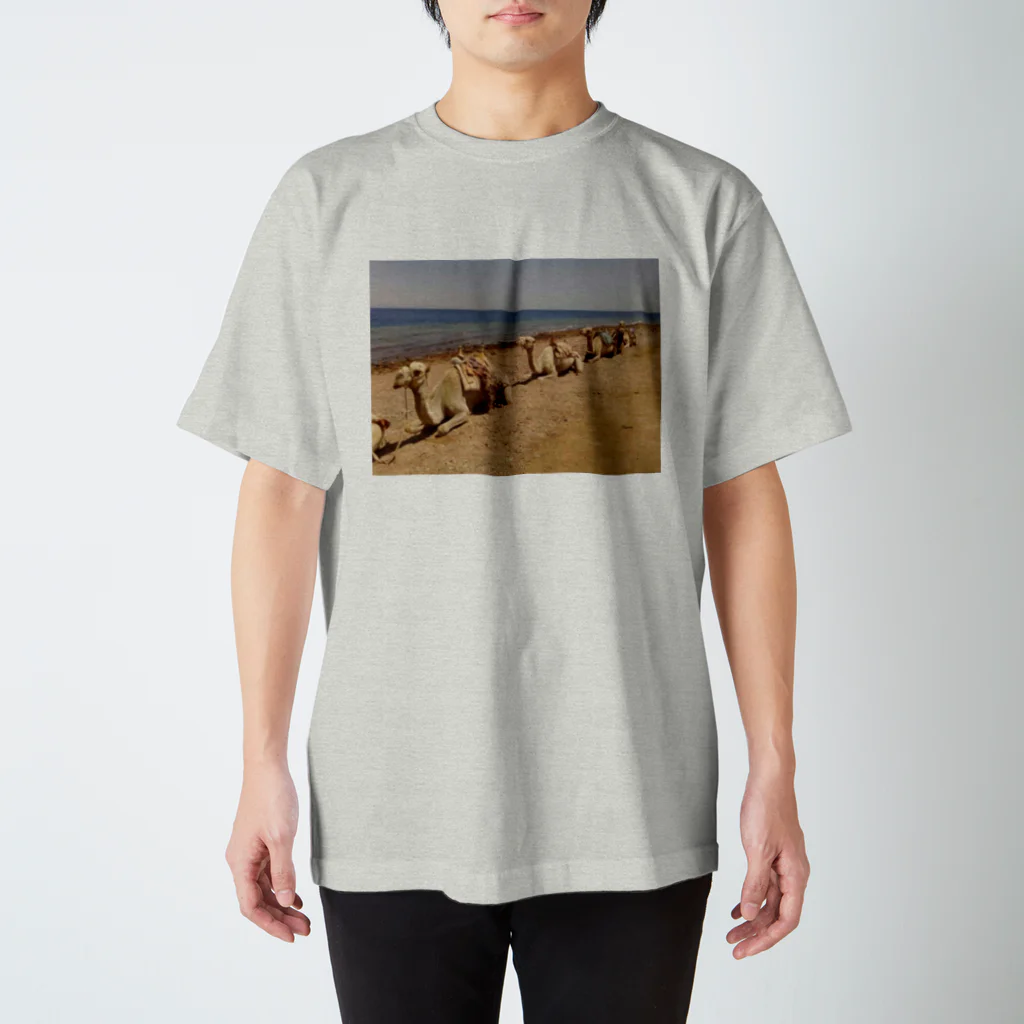 CRUISE SHIPのCamel Arrangements スタンダードTシャツ