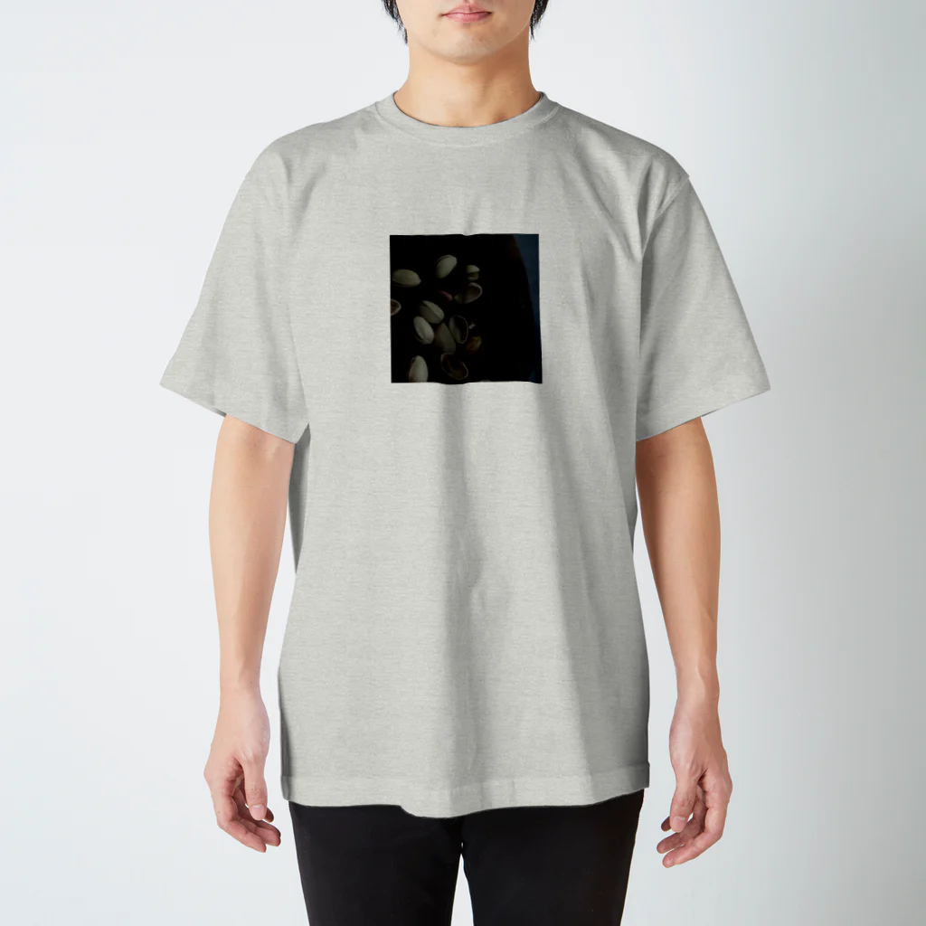 hitosaramonogatari＊shopのピスタチオ Regular Fit T-Shirt