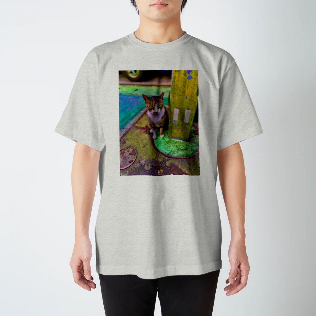 にゃっく -NecoKnickKnack-の空降街猫Tシャツ(背面円形) スタンダードTシャツ