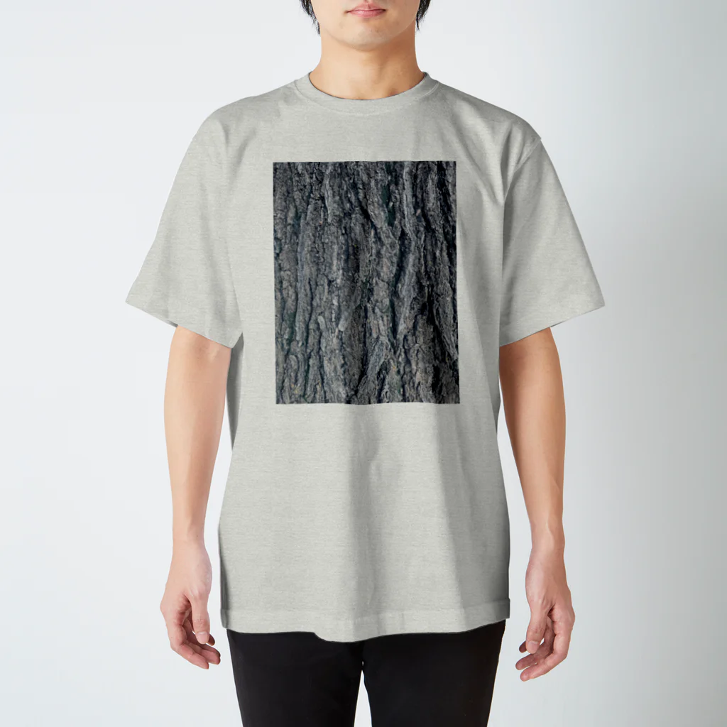 フィールドワークショップの樹になる Regular Fit T-Shirt