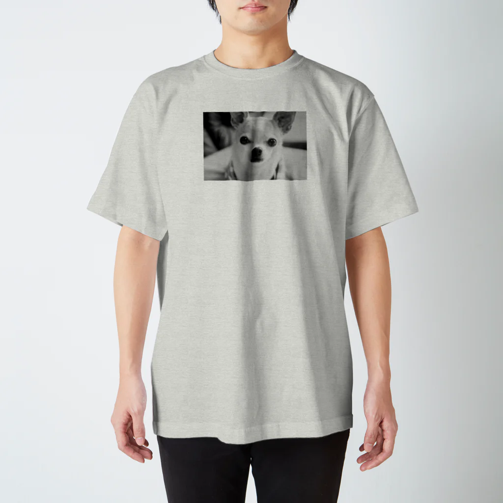 akane_art（茜音工房）のモノクロチワワ（おすまし） Regular Fit T-Shirt