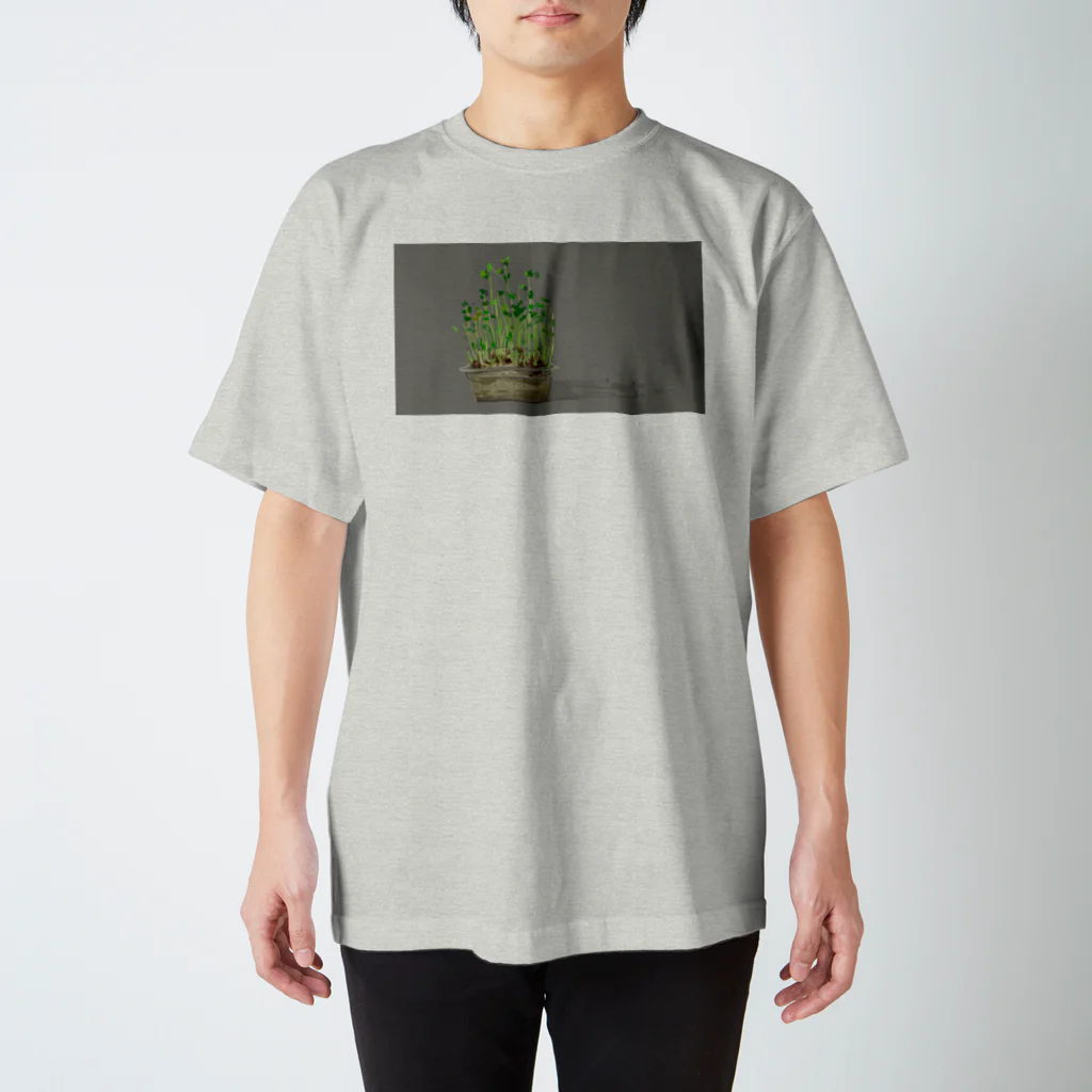 堅貝の豆苗 スタンダードTシャツ