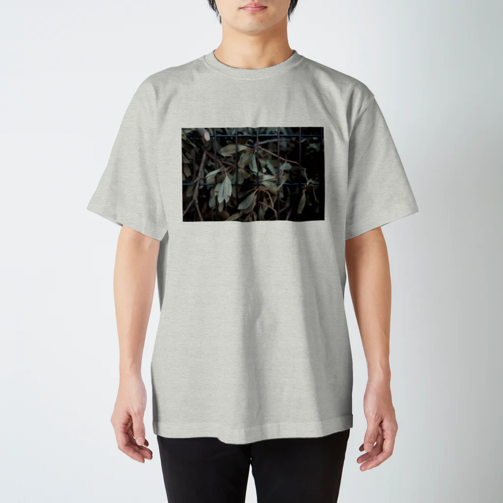 guu.の春待ち顔 スタンダードTシャツ