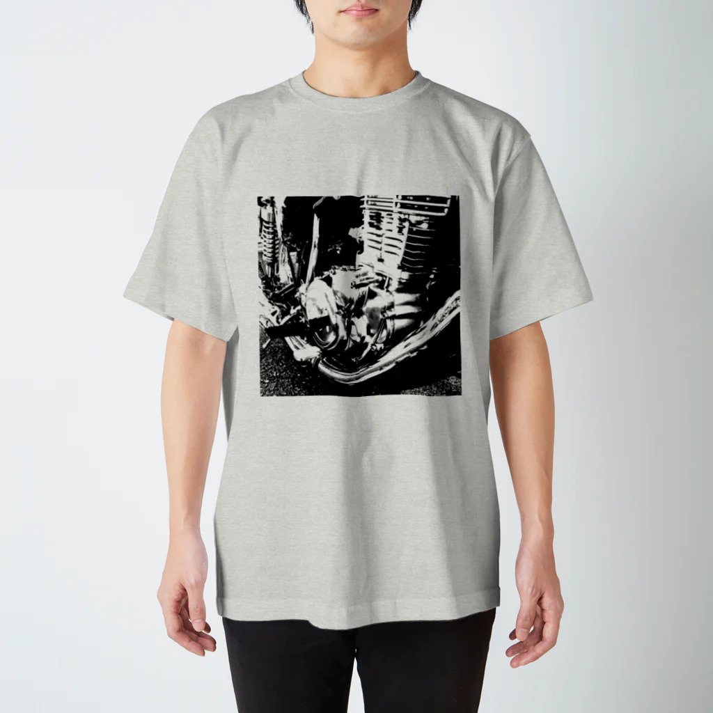 a HOLE new worldのOrgan 〜臓器〜 スタンダードTシャツ