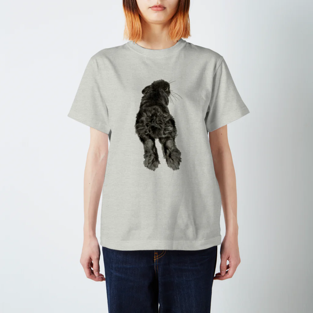 Gallery Neperoのふわけつ(くろすけ) Regular Fit T-Shirt