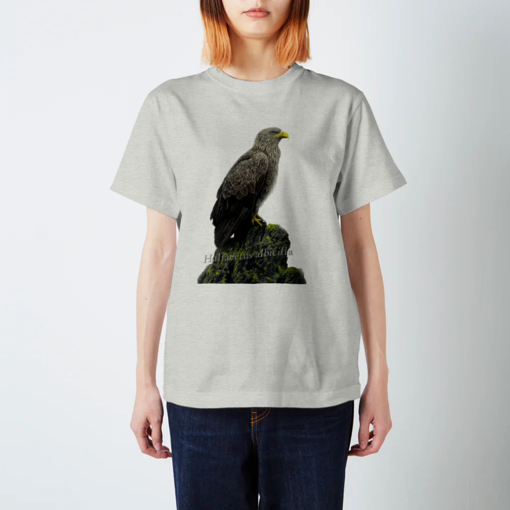 野鳥生活のオジロワシ（★寄付） Regular Fit T-Shirt