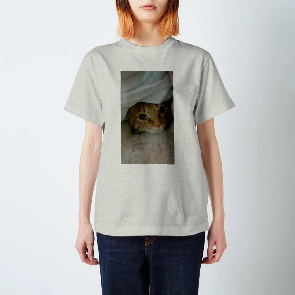 misaoのかくれ猫 Regular Fit T-Shirt