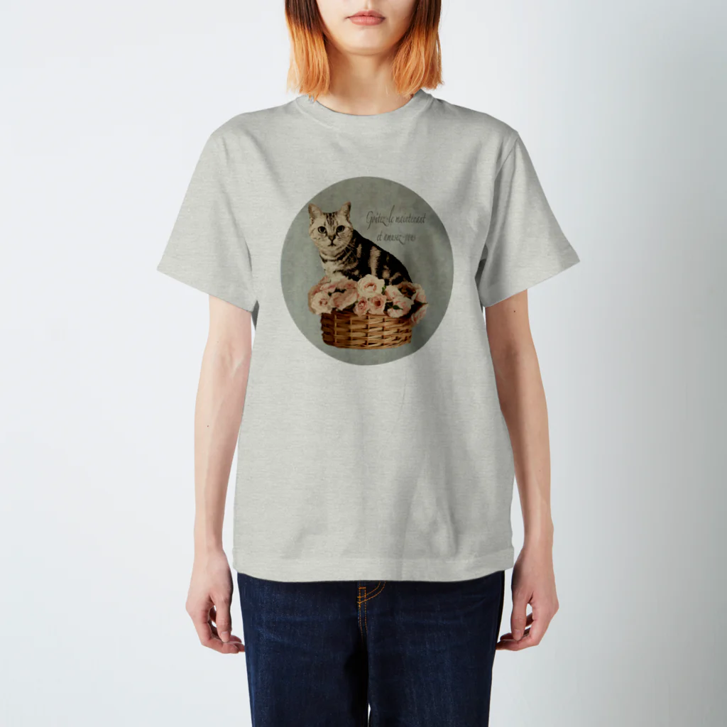 bleugriseのバラと猫・チョコ スタンダードTシャツ