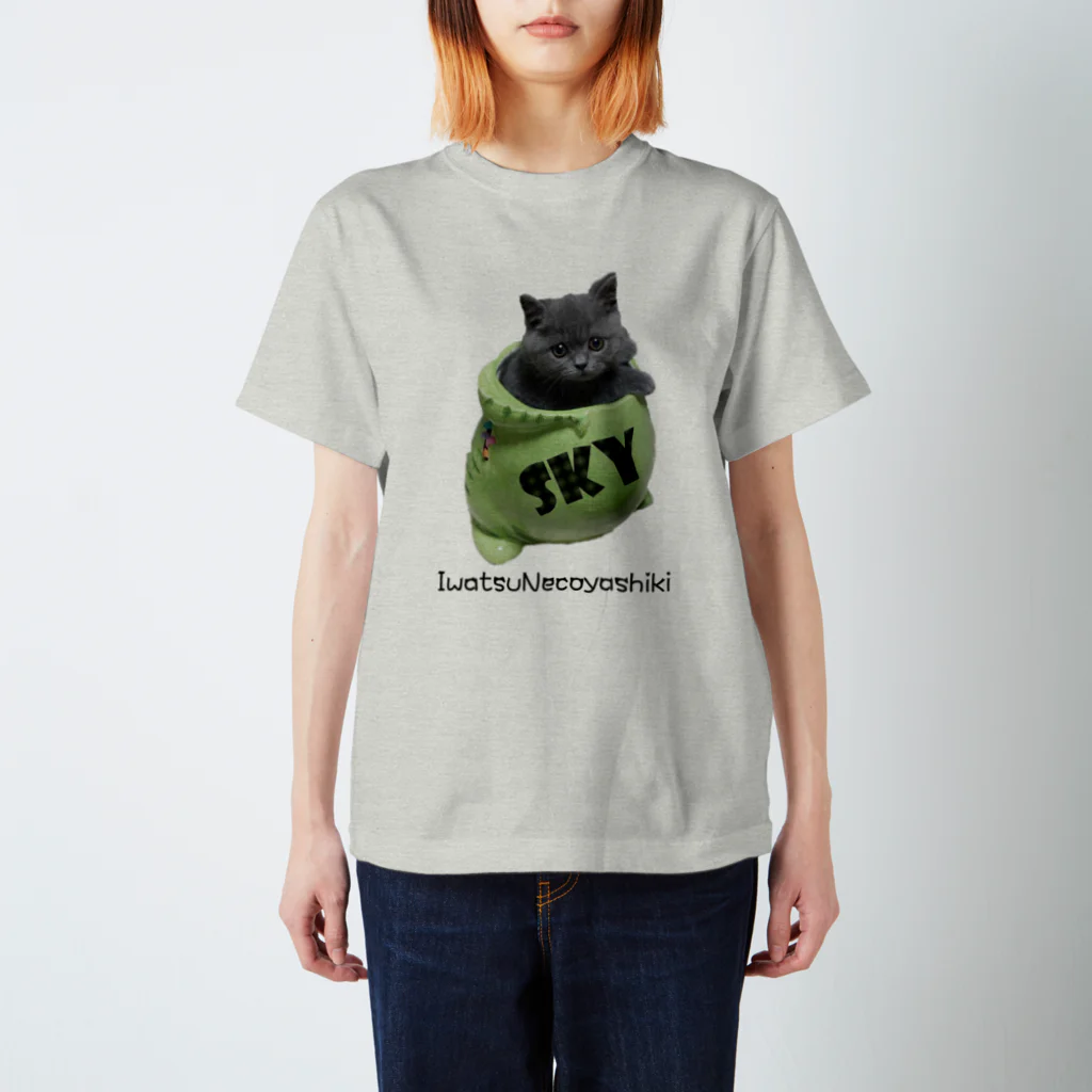 岩津猫屋敷のスカイモンスター Regular Fit T-Shirt