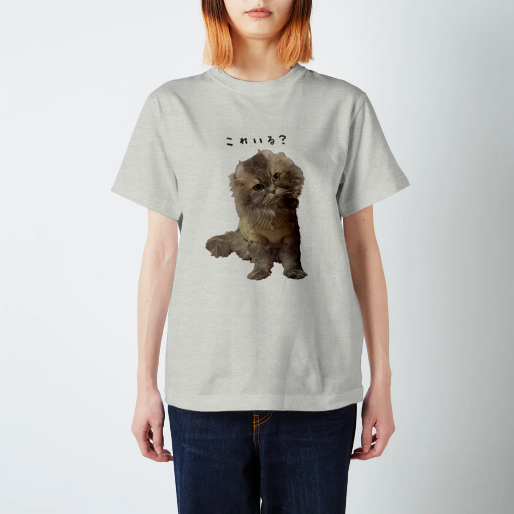 hoimisoの不服そうなペシャンコ猫のあおたろ（ひらがなver.） スタンダードTシャツ