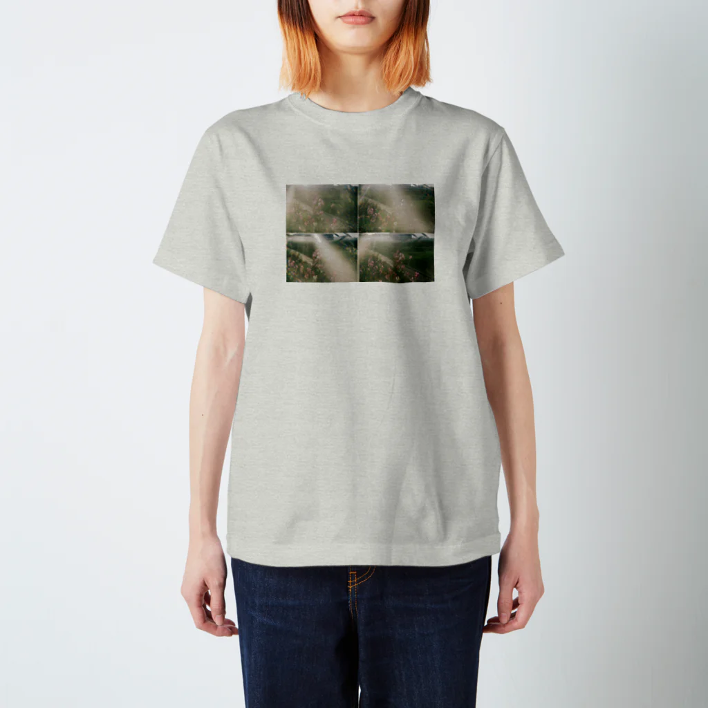 HARAISOの少女映画 スタンダードTシャツ