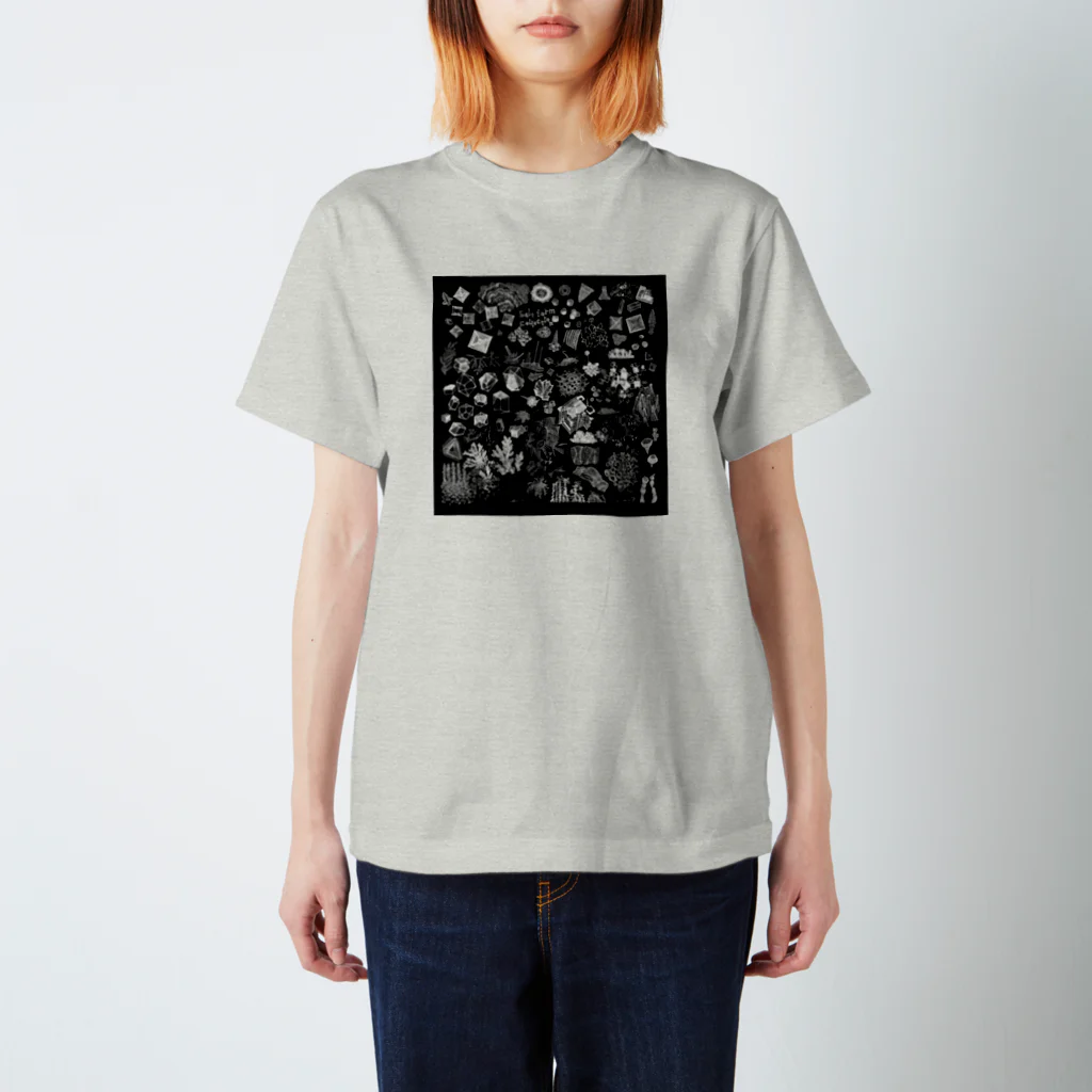 ラシマ工房のSalt form collection スタンダードTシャツ