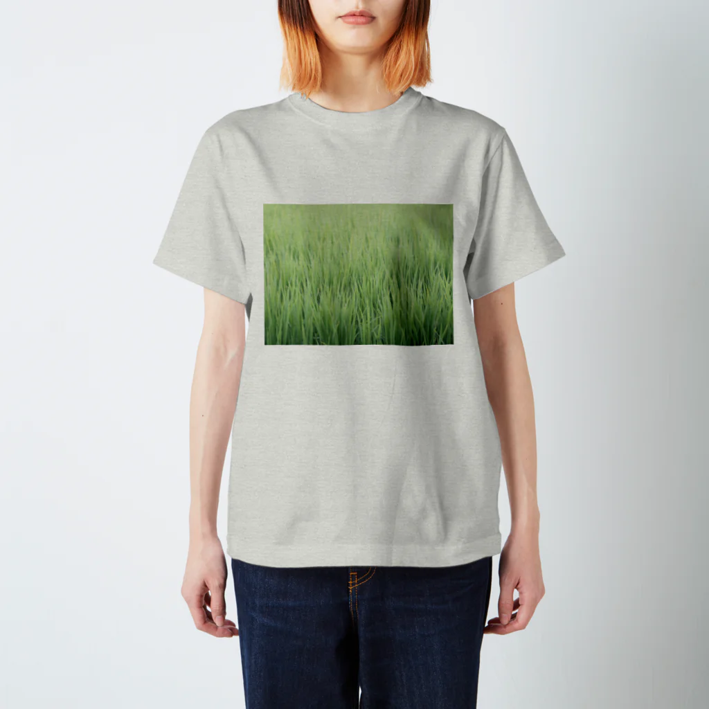 uiiiiiiiiiiiiiiiiiiiiiiiiuの田植え（みたいな） スタンダードTシャツ