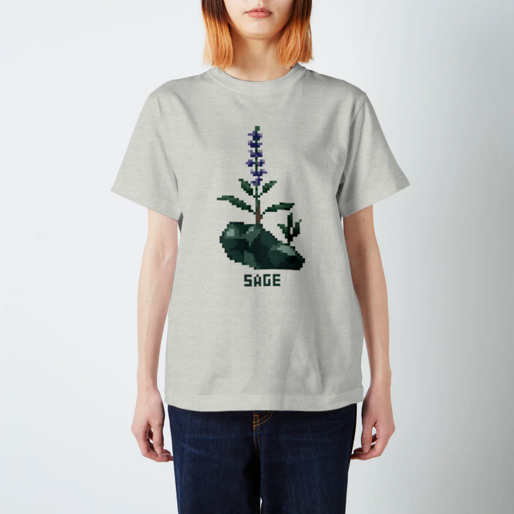 芹石せいじの鉱石×植物ドット　セージ Regular Fit T-Shirt
