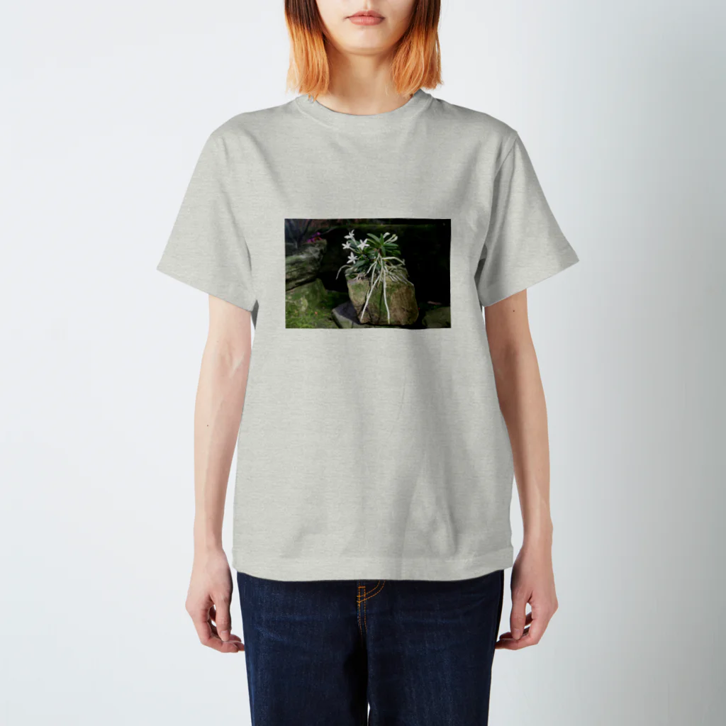 soramamekoの石の花   NO.1 Regular Fit T-Shirt