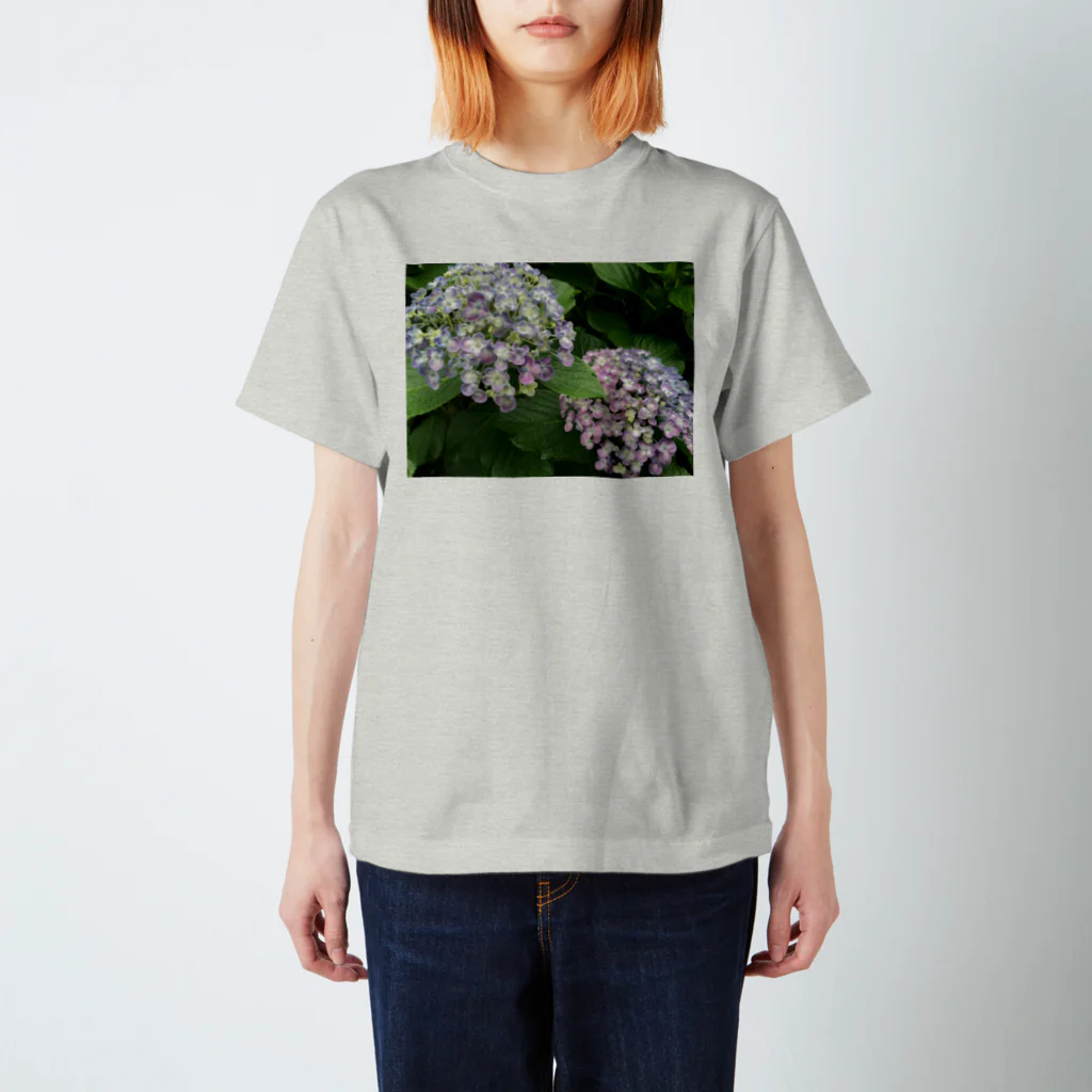 chachakoo5の梅雨の花 スタンダードTシャツ