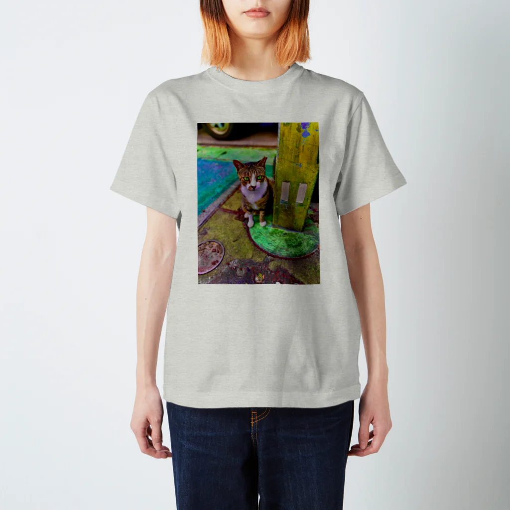 にゃっく -NecoKnickKnack-の空降街猫Tシャツ(背面円形) スタンダードTシャツ