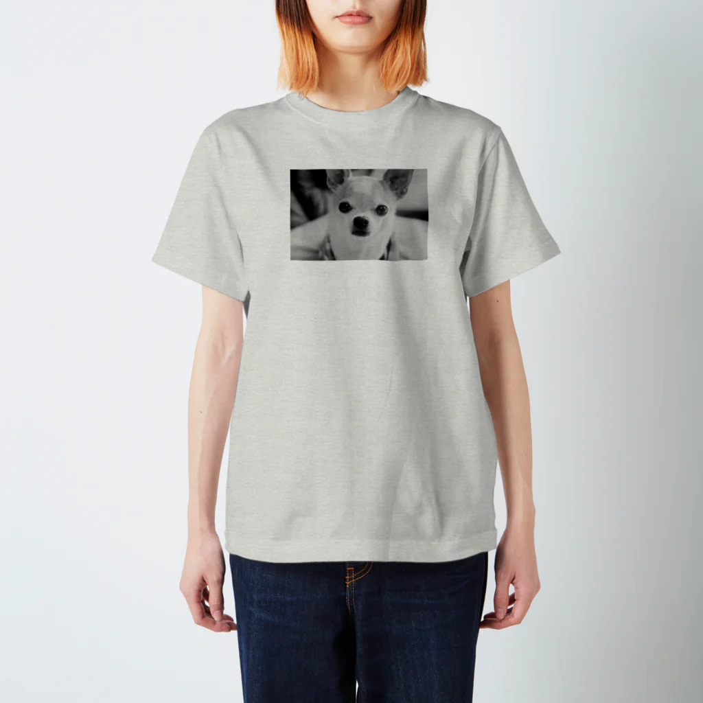 akane_art（茜音工房）のモノクロチワワ（おすまし） Regular Fit T-Shirt