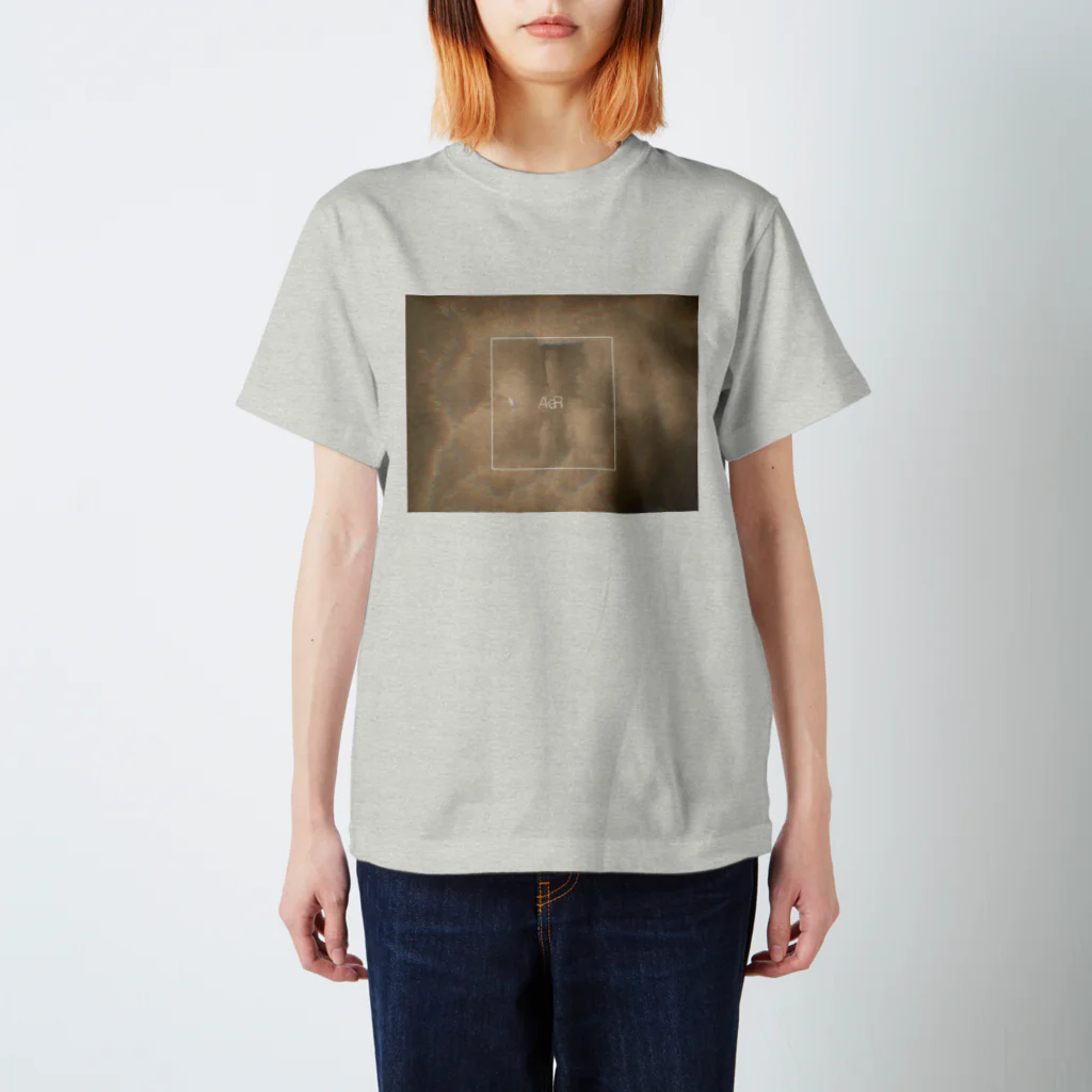 和梨の灯り Regular Fit T-Shirt