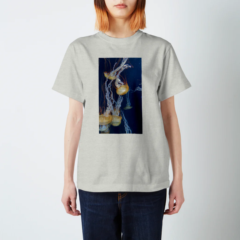 がまぐち天文台のパシパシパシフィック Regular Fit T-Shirt