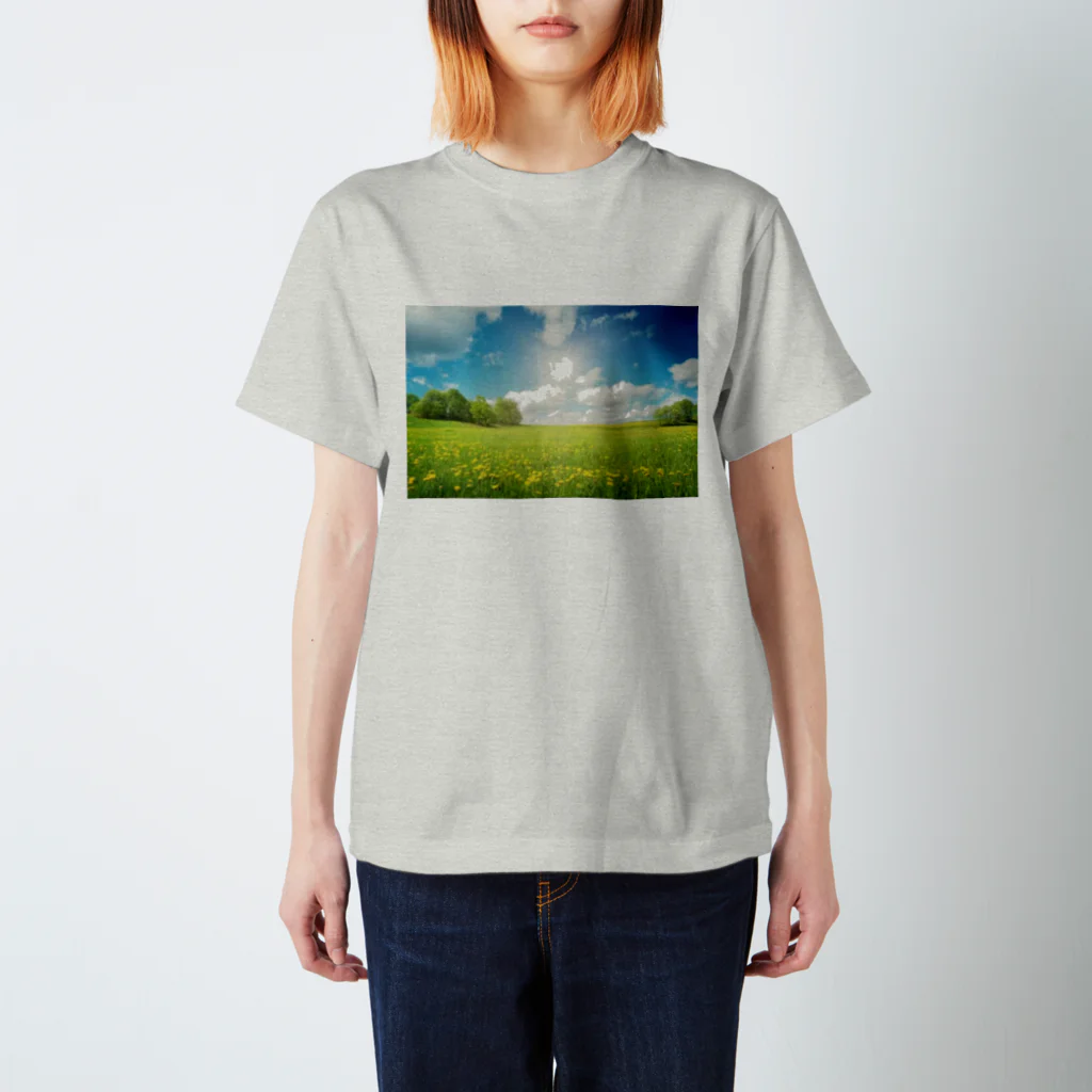 Teatime ティータイムの大草原の風景 スタンダードTシャツ