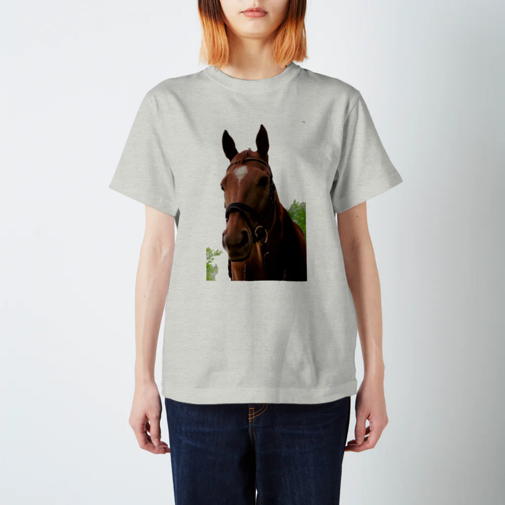 Teatime ティータイムの牧場 乗馬 馬術の馬 Regular Fit T-Shirt