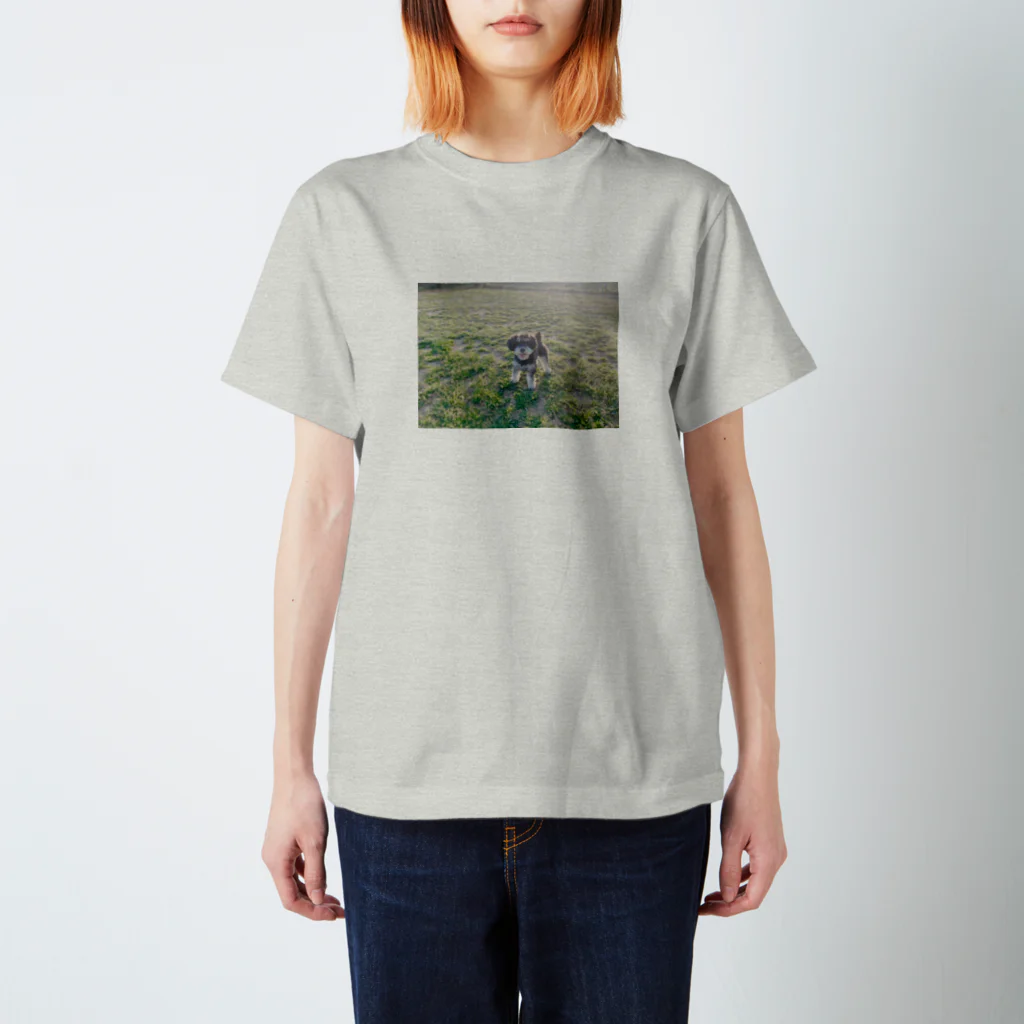 anioの春の犬 Regular Fit T-Shirt