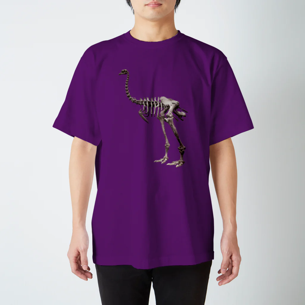 博物雑貨 金烏のディノルニス・エレファントプス(モア) - Getty Search Gateway Regular Fit T-Shirt