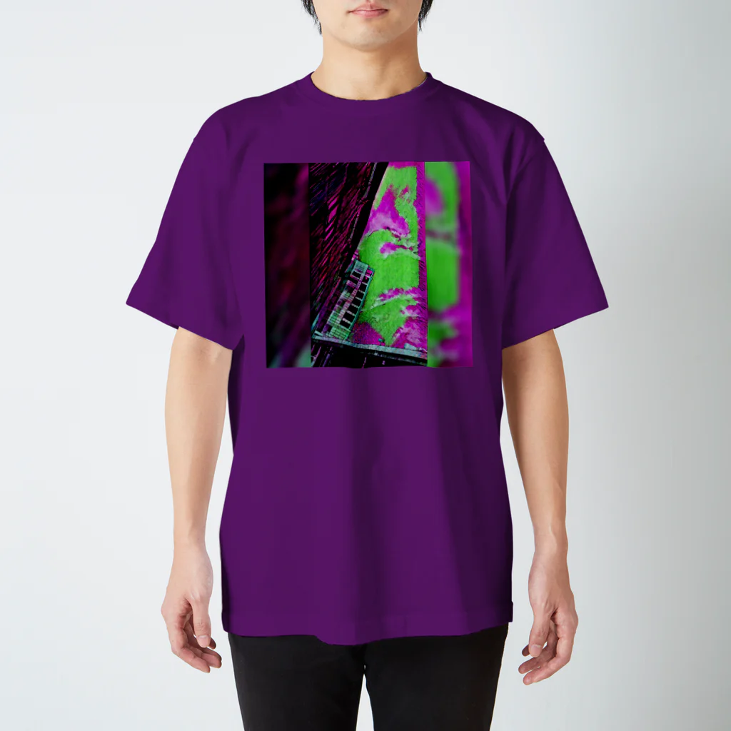 翔のemo Regular Fit T-Shirt