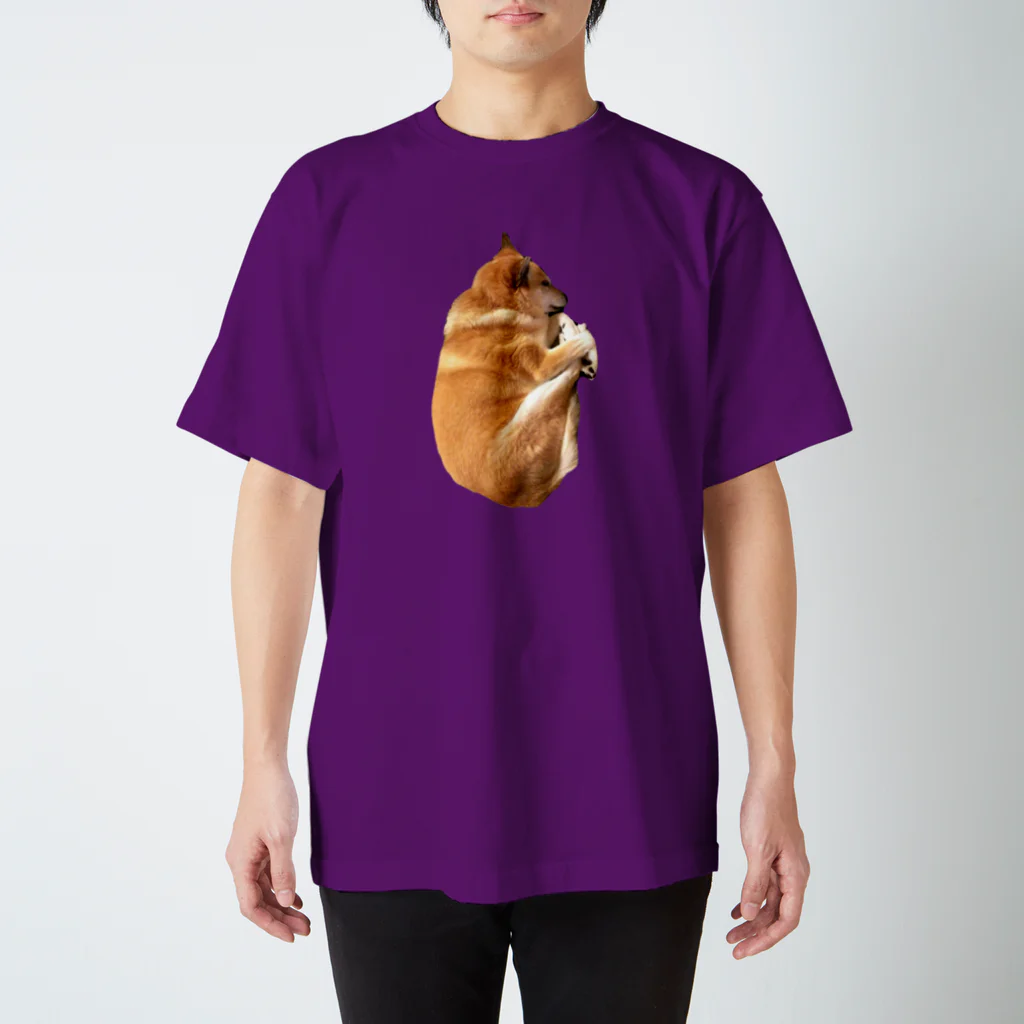 ちくわ先生のど根性ちくわ先生T スタンダードTシャツ